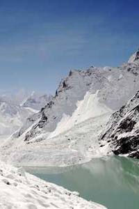 Maya Chen profile photo