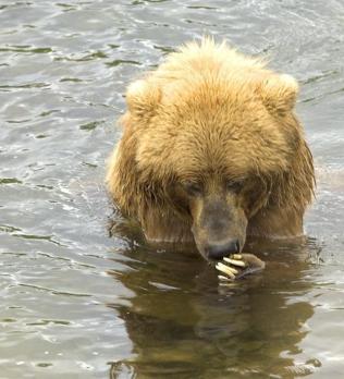 Maya Chen profile photo