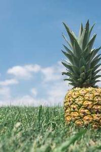 Leo Anders profile photo