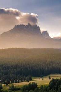 Jonas Richter profile photo