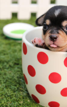 Jonas Richter profile photo