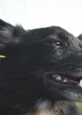 Jonas Richter profile photo