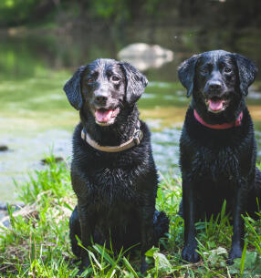 Jonas Richter profile photo