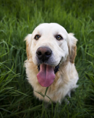 Leo Anders profile photo