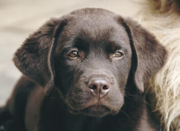 Alex Martinez avatar