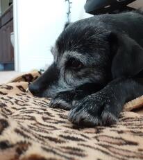 Leo Anders profile photo