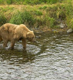Jonas Richter profile photo