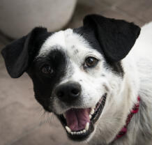 Maya Chen profile photo