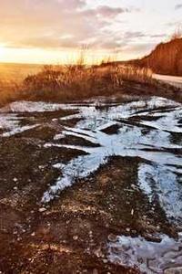 Jonas Richter profile photo