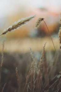 Jonas Richter profile photo