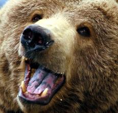 Leo Anders profile photo