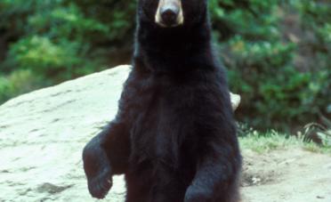 Leo Anders profile photo