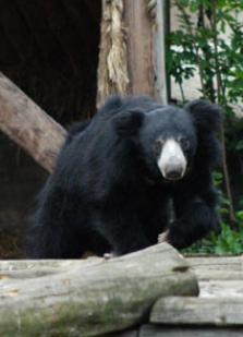 Maya Chen profile photo